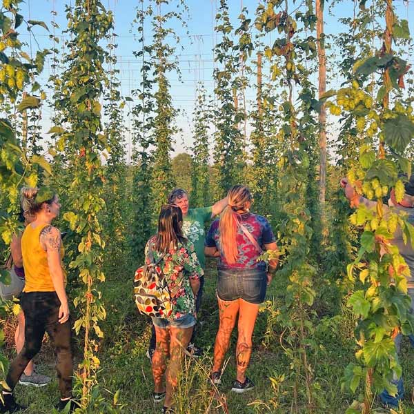 Bonnie Steinman teaching Pink Boots members about hops