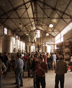 Farmhouse Beer: Rustic Meets Exquisite