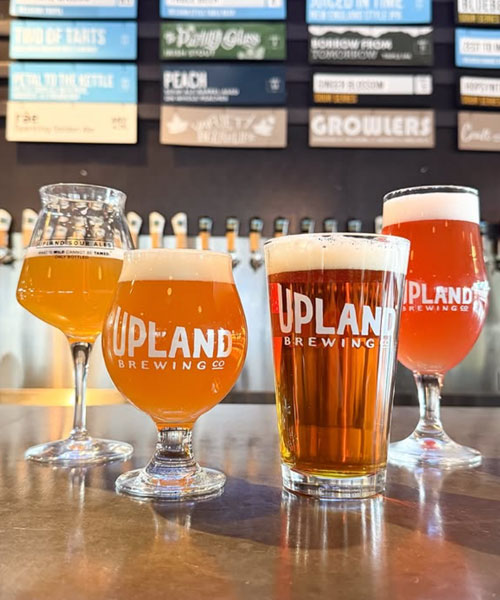 glasses of upland brewing beers on bar